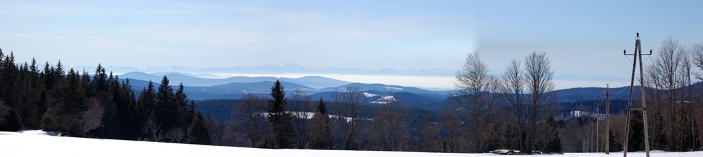 Bucina_2_1